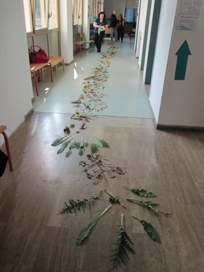 IV Incontro nazionale della Rete di cooperazione educativa